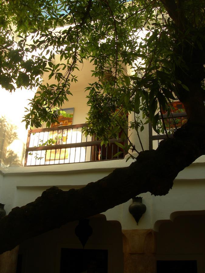 Riad Aldiana マラケシュ エクステリア 写真